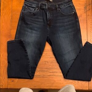 Kut from the Kloth Blue Skinny Jeans